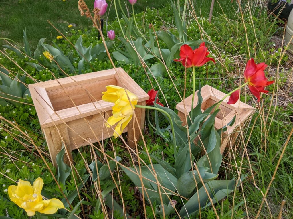 Make It Tiny - Mini Cedar Planter Boxes are FUN & SIMPLE - IRONPROOFTIMBERWORKS.com