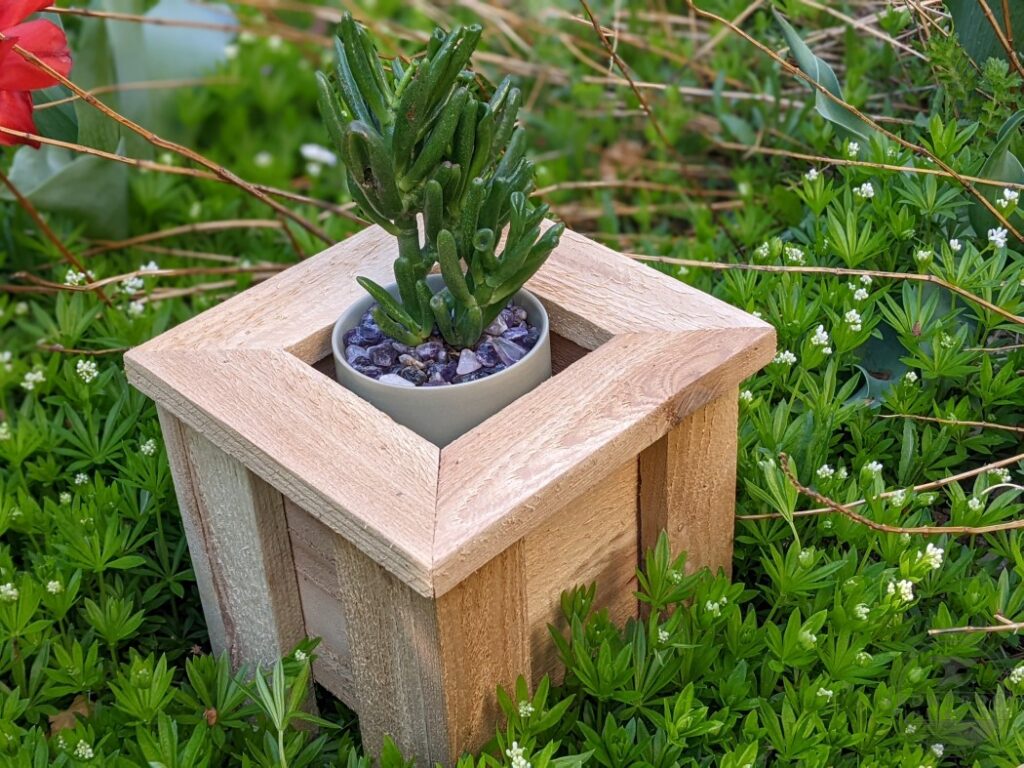 Make It Tiny - Mini Cedar Planter Boxes are FUN & SIMPLE - IRONPROOFTIMBERWORKS.com