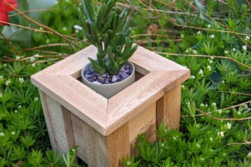 Make It Tiny - Mini Cedar Planter Boxes are FUN & SIMPLE - IRONPROOFTIMBERWORKS.com